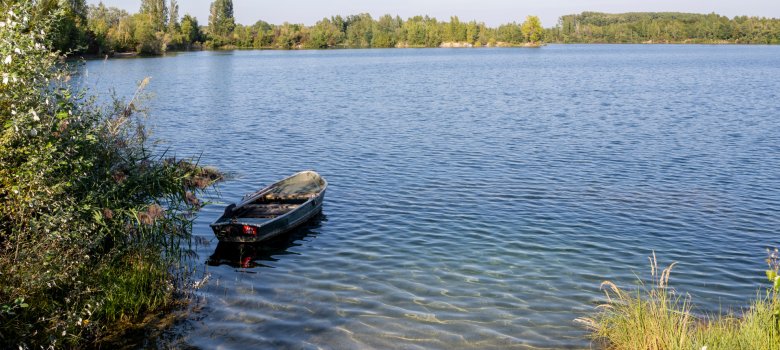 Das Binsfeld ist eine als Naherholungsgebiet dienende Seenlandschaft aus mehreren ehemaligen Baggerseen, die im Sommer, so wie auf dem Bild, zum baden und im Herbst und Winter zum geniessen der Natur einlädt. An der Landzunge (Halbinsel) zwischen dem Binsfeldsee und dem Kuhuntersee gibt einen Hundestrand, der den Besitzern von Hunden die Möglichkeit mit ihren Tieren schwimmen zu gehen.