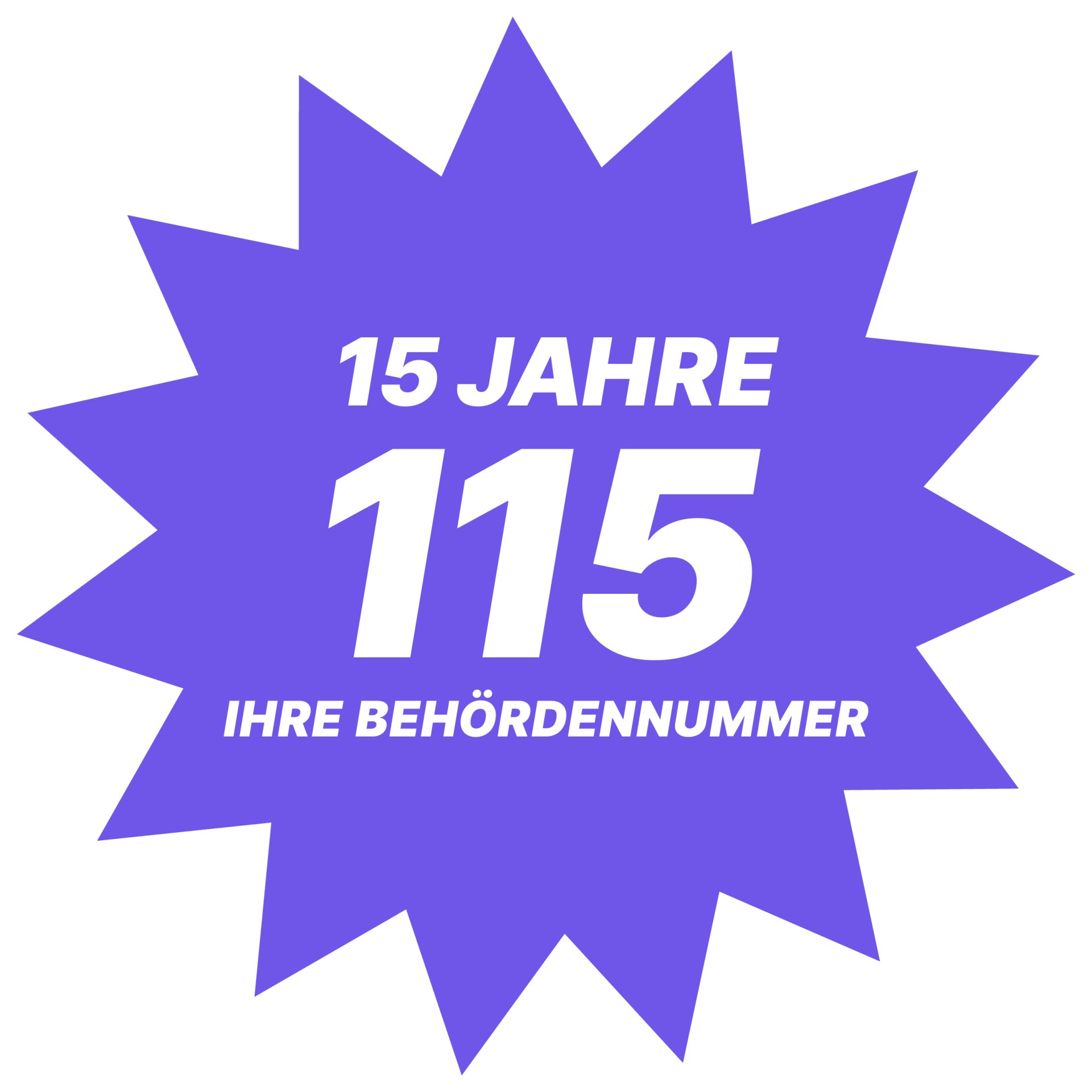 15Jahre-115_Stoerer2