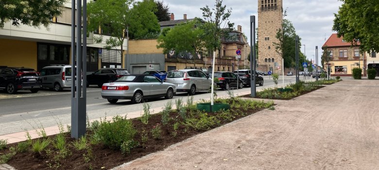 Entsiegelte Teilflächen auf dem St.-Guido-Stifts-Platz