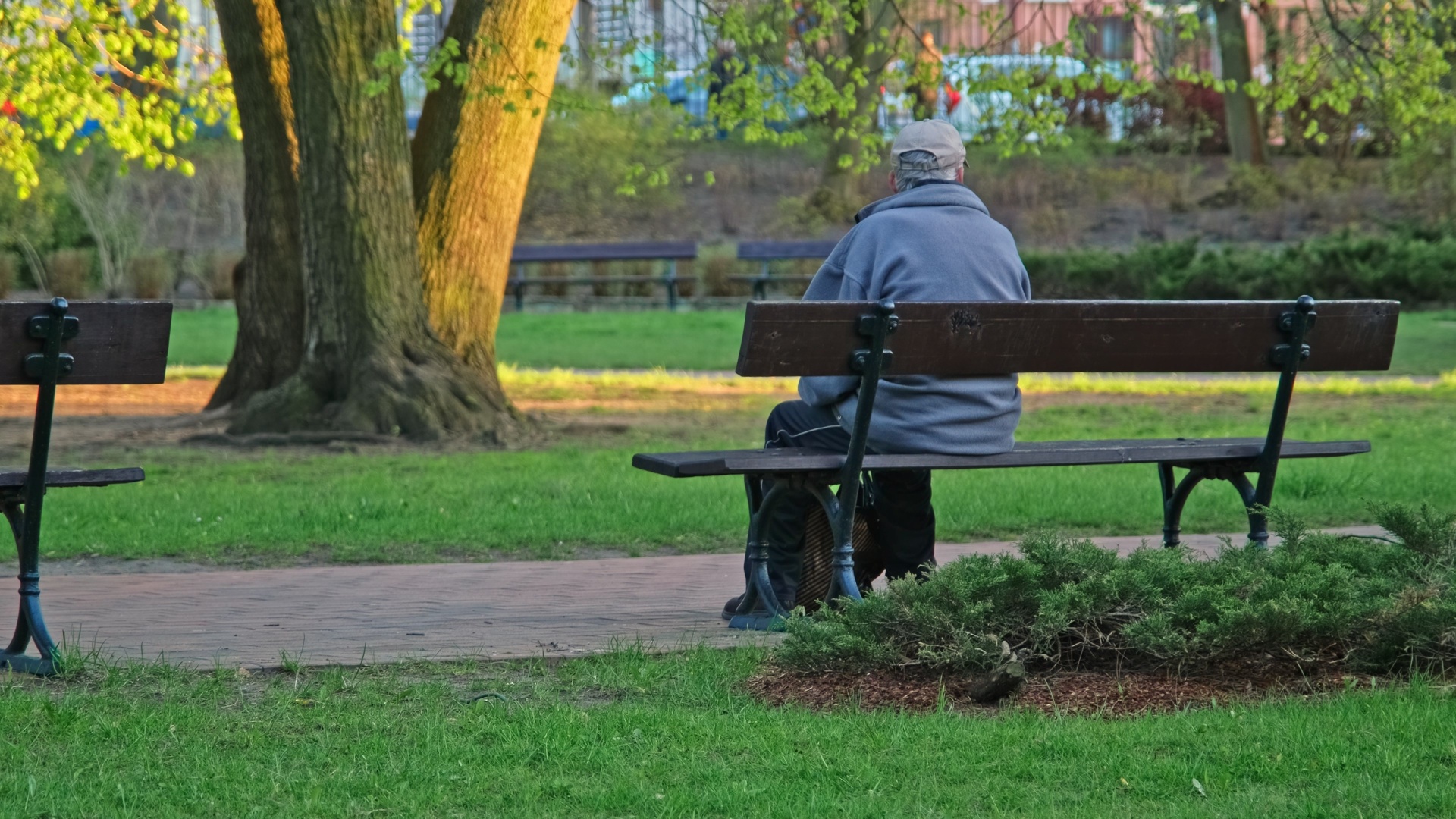 Sad Elderly Man Sitting Alone On Park Bench
