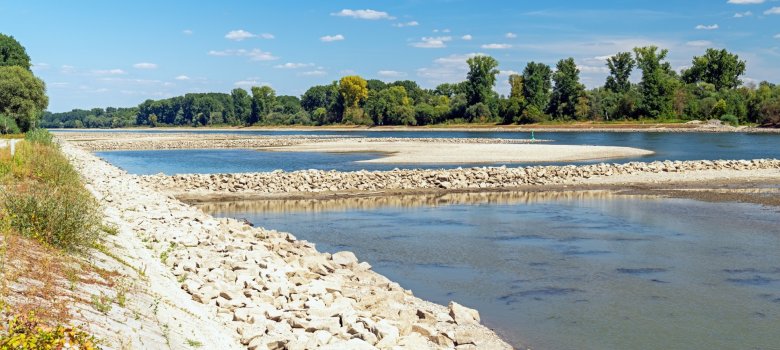 Niedrigwasser am Rhein
