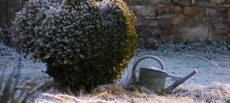 Winter Impressionen Winter Impressionen