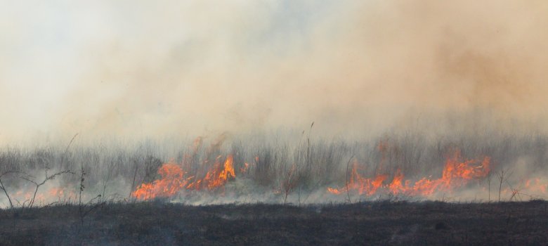 Wild grass/brush fire on prairie or pasture. Wild grass/brush fire on prairie or pasture.