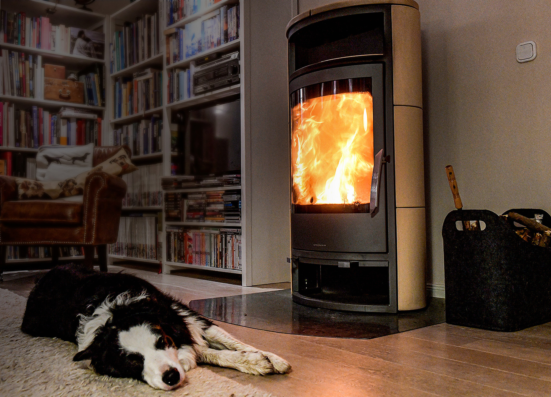 Hund vor brennendem Ofen.