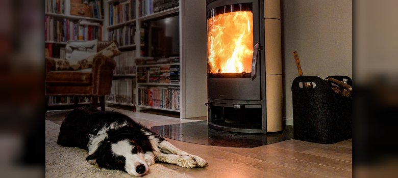 CO-Vergiftungsgefahr durch Öfen und Kamine Hund vor brennendem Ofen.