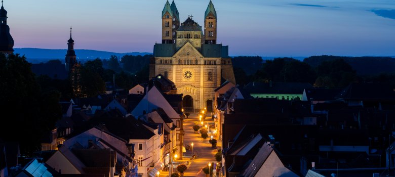 Innenstadt Speyer Landschaft