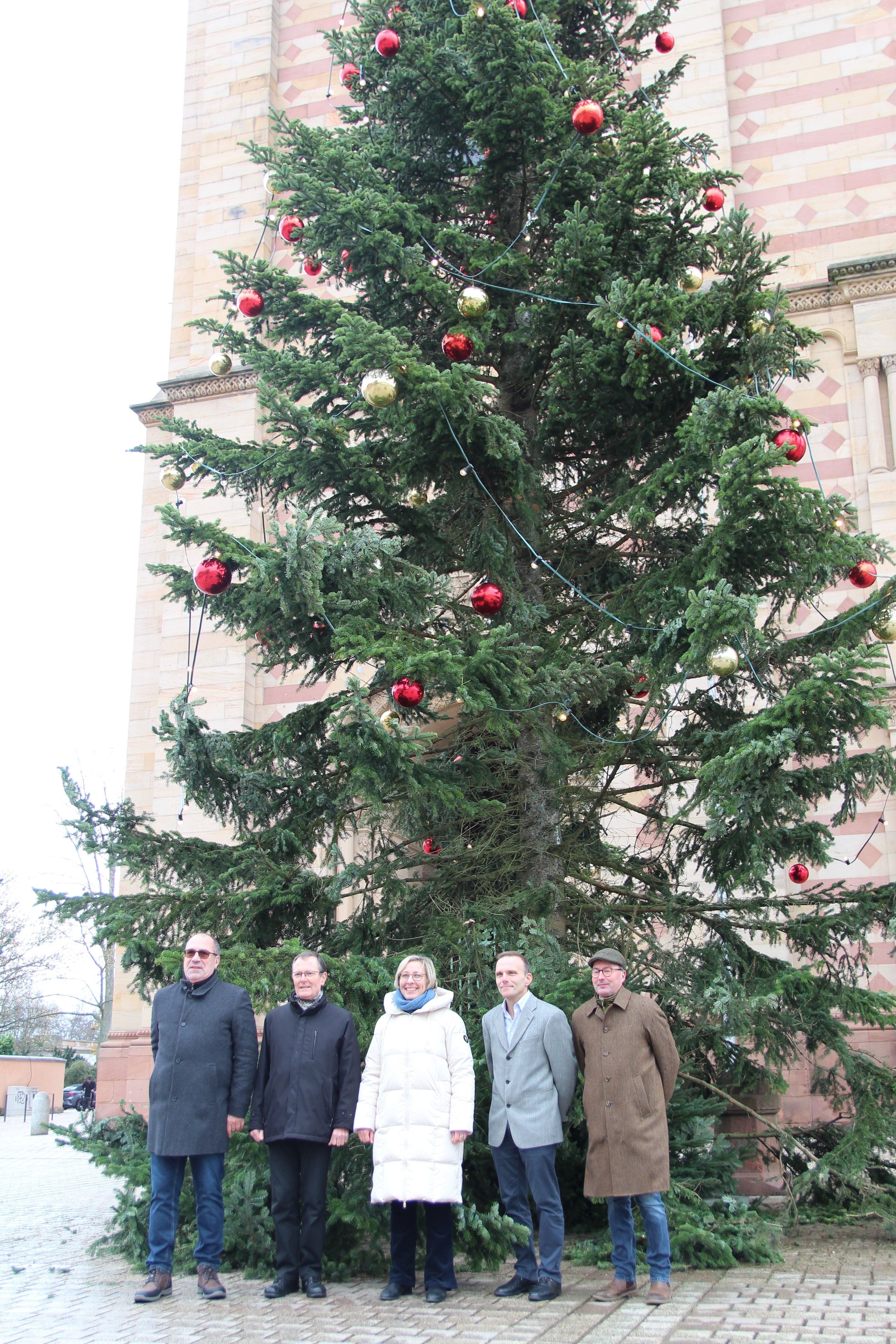 Weihnachtsbaumbeleuchtung 2023