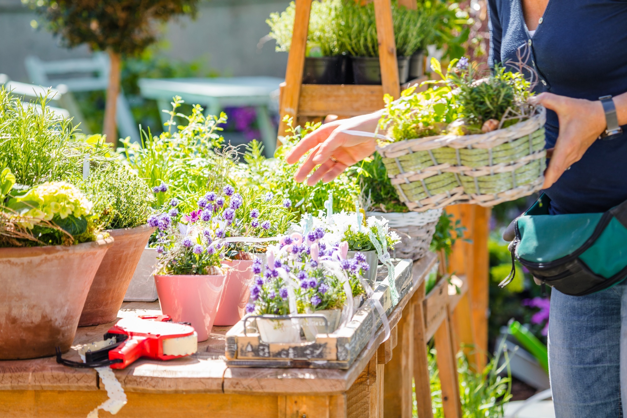 Symbolfoto Gartenmarkt