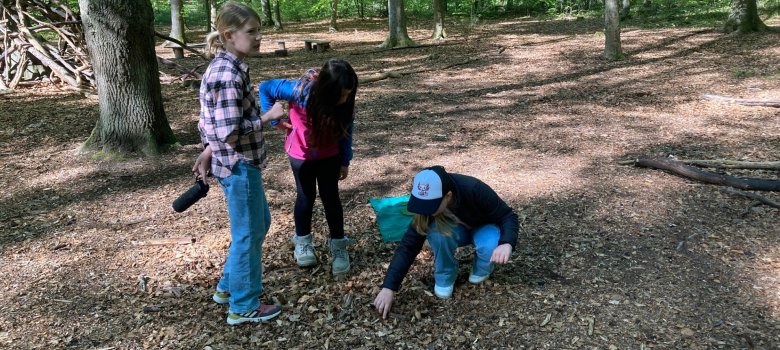 Waldexkursion Schüler