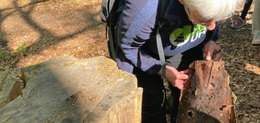 Waldexkursion mit Anne Greth