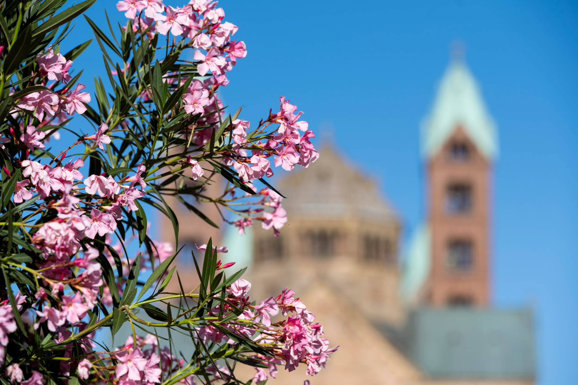 Bebilderung Konferenzraum Hochhaus Sparkasse Vorderpfalz