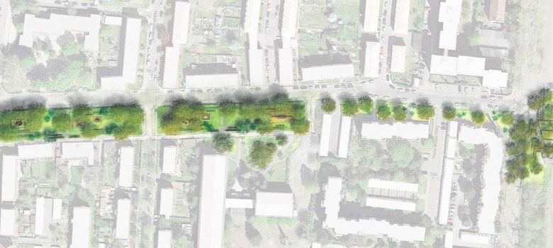 Analyse-Karte zur Neugestaltung des Grünstreifens in der Josef-Schmitt-Straße