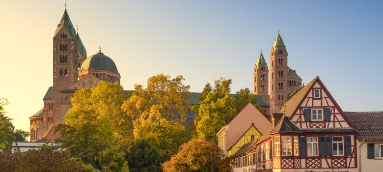 Dom zu Speyer im Herbst