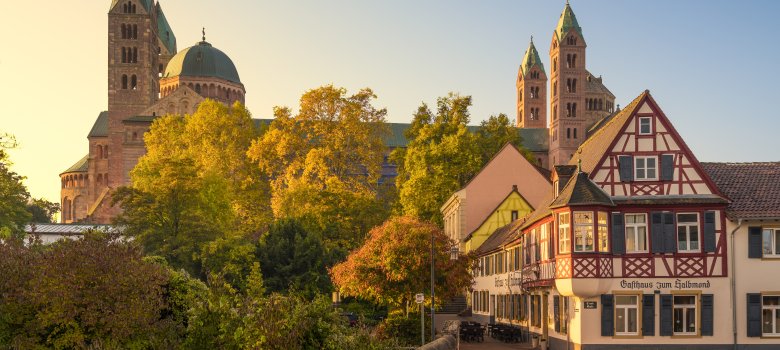 Dom zu Speyer im Herbst