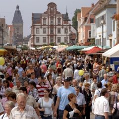 Bauernmarkt auf der Maximilianstraße