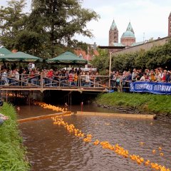 Entenrennen im Speyerbach während des Altstadtfestes