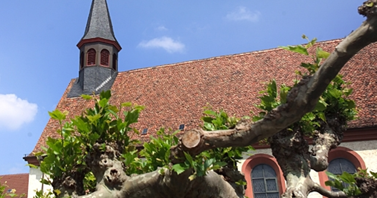 Kloster St. Magdalena Stadt Speyer