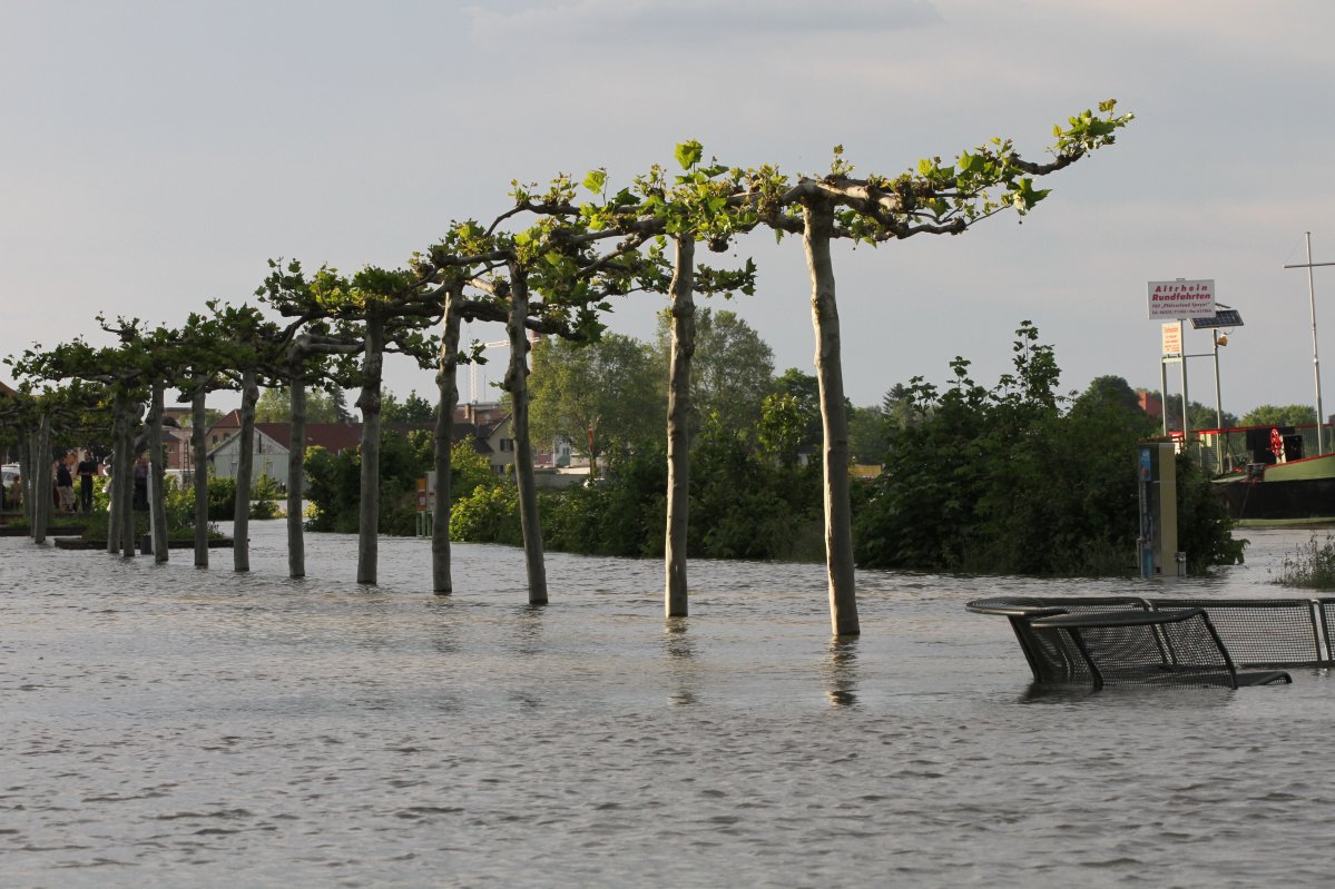 Hochwasser in Speyer im Jahr 2013