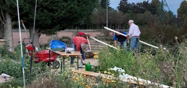 Arbeitseinsatz im Hummelgarten