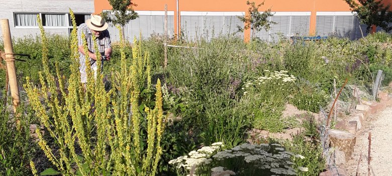 Hummelgarten auf dem Judomaxx-Gelände