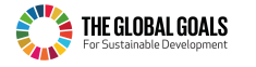 The Global Goals Logo - horizontal