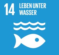 SDG 14 Leben unter Wasser