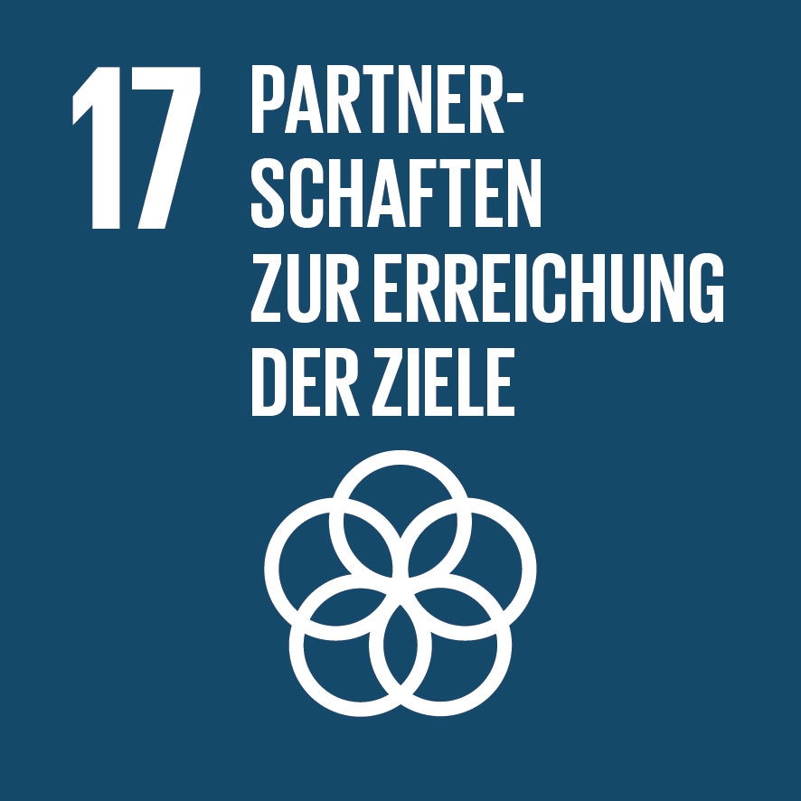 SDG 17 Partnerschaften