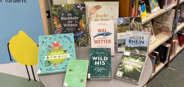 Medienausstellung Stadtbibliothek Medienausstellung Stadtbibliothek