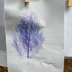 Tage der Artenvielfalt im Wald 2026