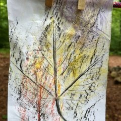 Tage der Artenvielfalt im Wald 2026
