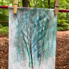 Tage der Artenvielfalt im Wald 2026