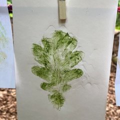 Tage der Artenvielfalt im Wald 2026