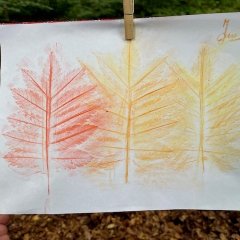 Tage der Artenvielfalt im Wald 2026