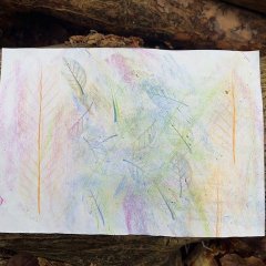 Tage der Artenvielfalt im Wald 2026