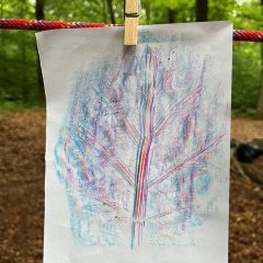 Tage der Artenvielfalt im Wald 2026