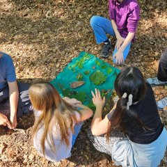 Tage der Artenvielfalt im Wald 2026
