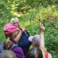 Tage der Artenvielfalt im Wald 2026