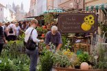 Bauernmarkt Speyer